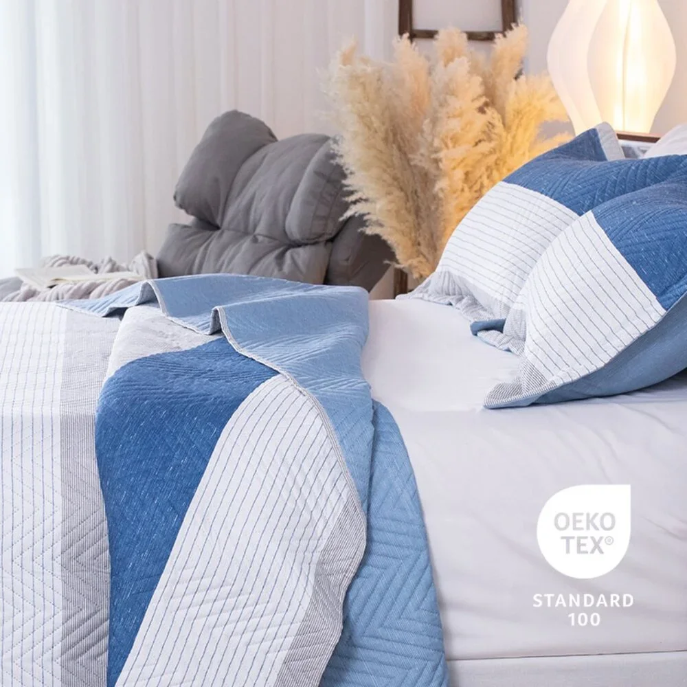 Queen - Soft & Cozy Blue and White Quilt Set